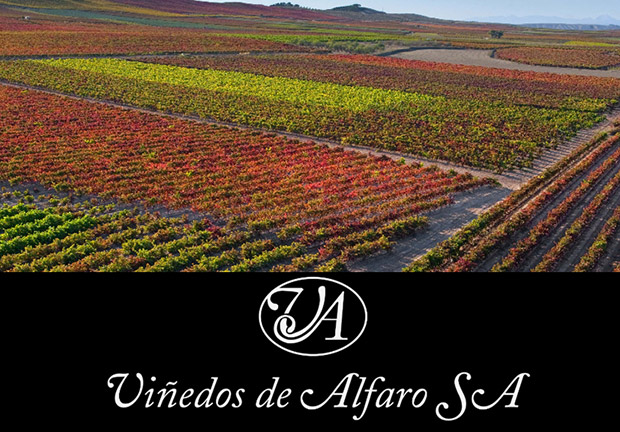 Viñedos Alfaro